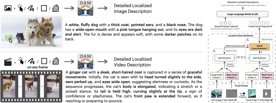 그림7. Describe Anything: Detailed Localized Image and Video Captioning