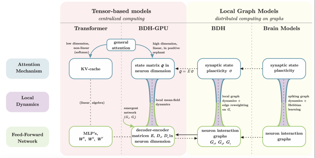 The Dragon Hatchling: The Missing Link between the Transformer and Models of the Brain